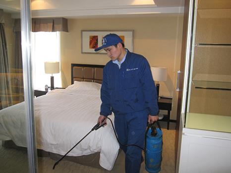 臭氧殺菌消毒殺蟲(chóng)除螨